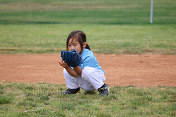 Sports Events Organizer